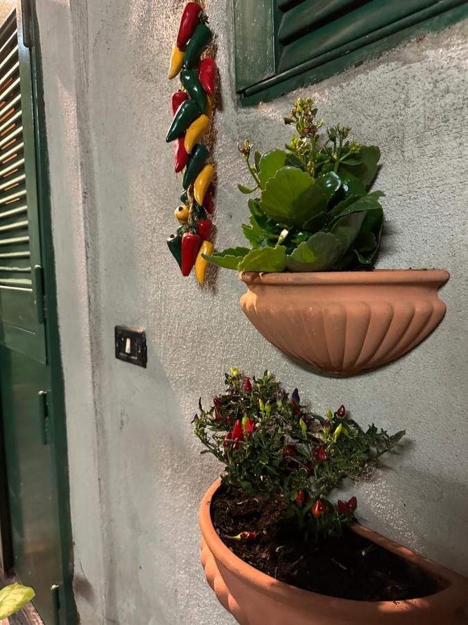 Appartamento Tiny House - Spaccanapoli