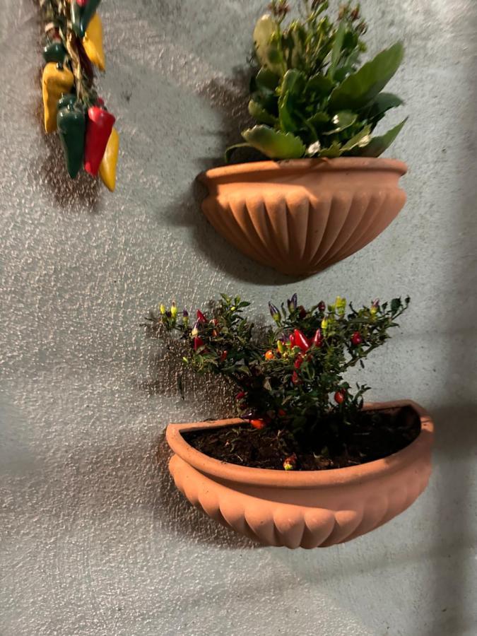 Tiny House - Spaccanapoli * Napoli